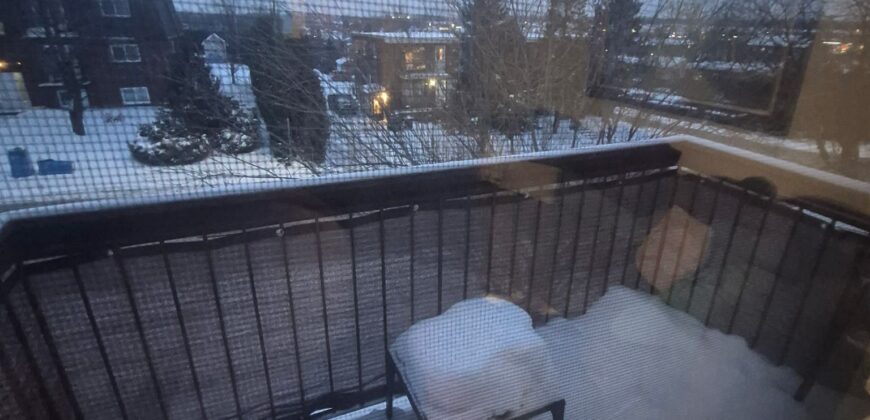 4 et demi deux montagnes