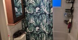 4 et demi deux montagnes