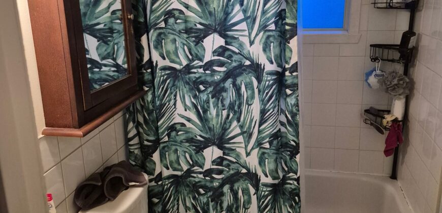 4 et demi deux montagnes