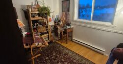 4 et demi deux montagnes