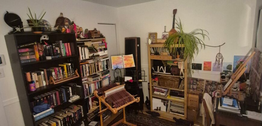 4 et demi deux montagnes