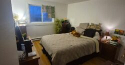 4 et demi deux montagnes