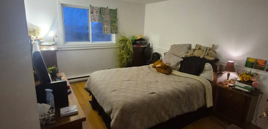 4 et demi deux montagnes