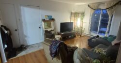 4 et demi deux montagnes