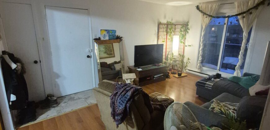 4 et demi deux montagnes