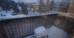 4 et demi deux montagnes